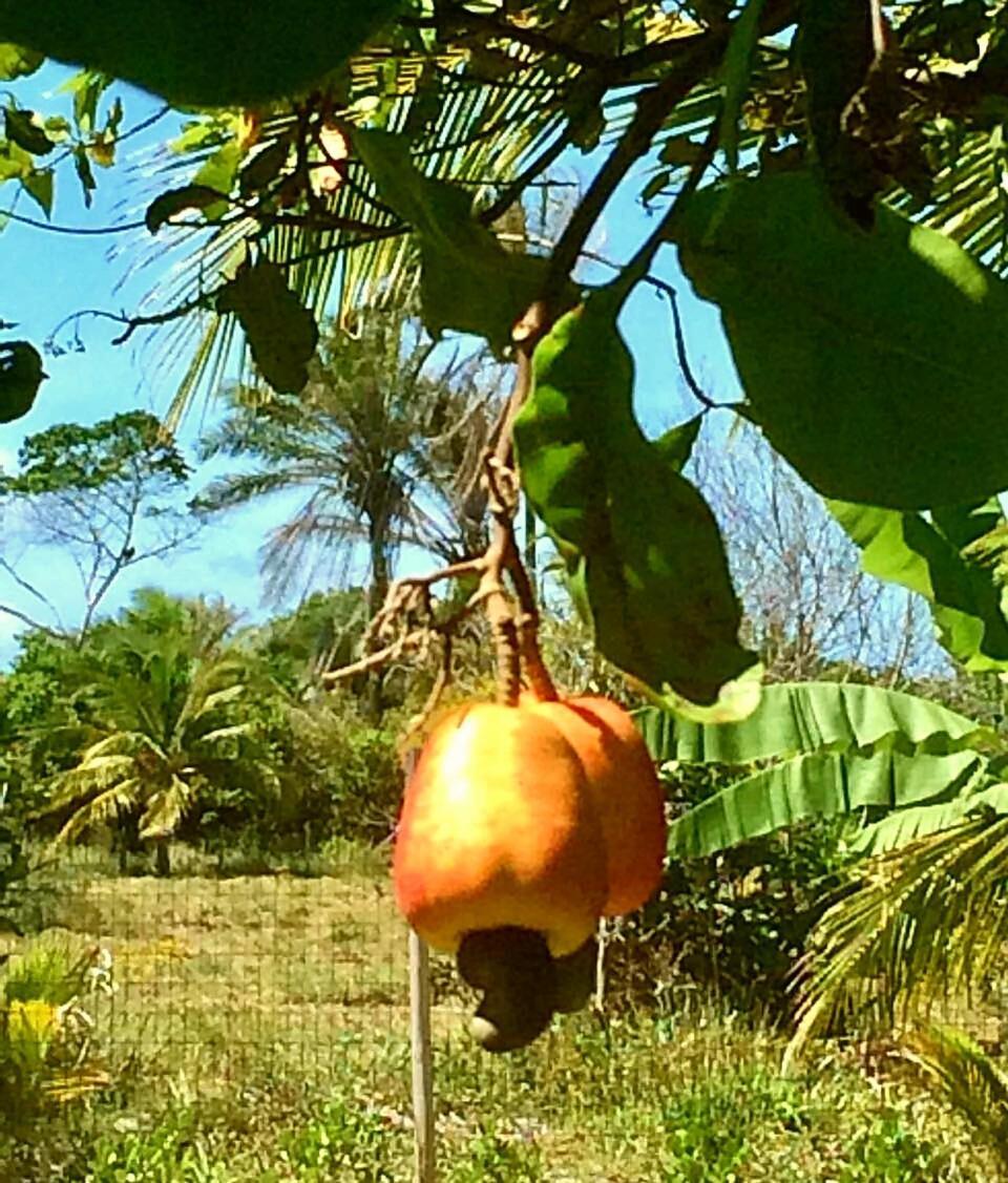 Casa Ohana Barra Grande  Eksteriør billede